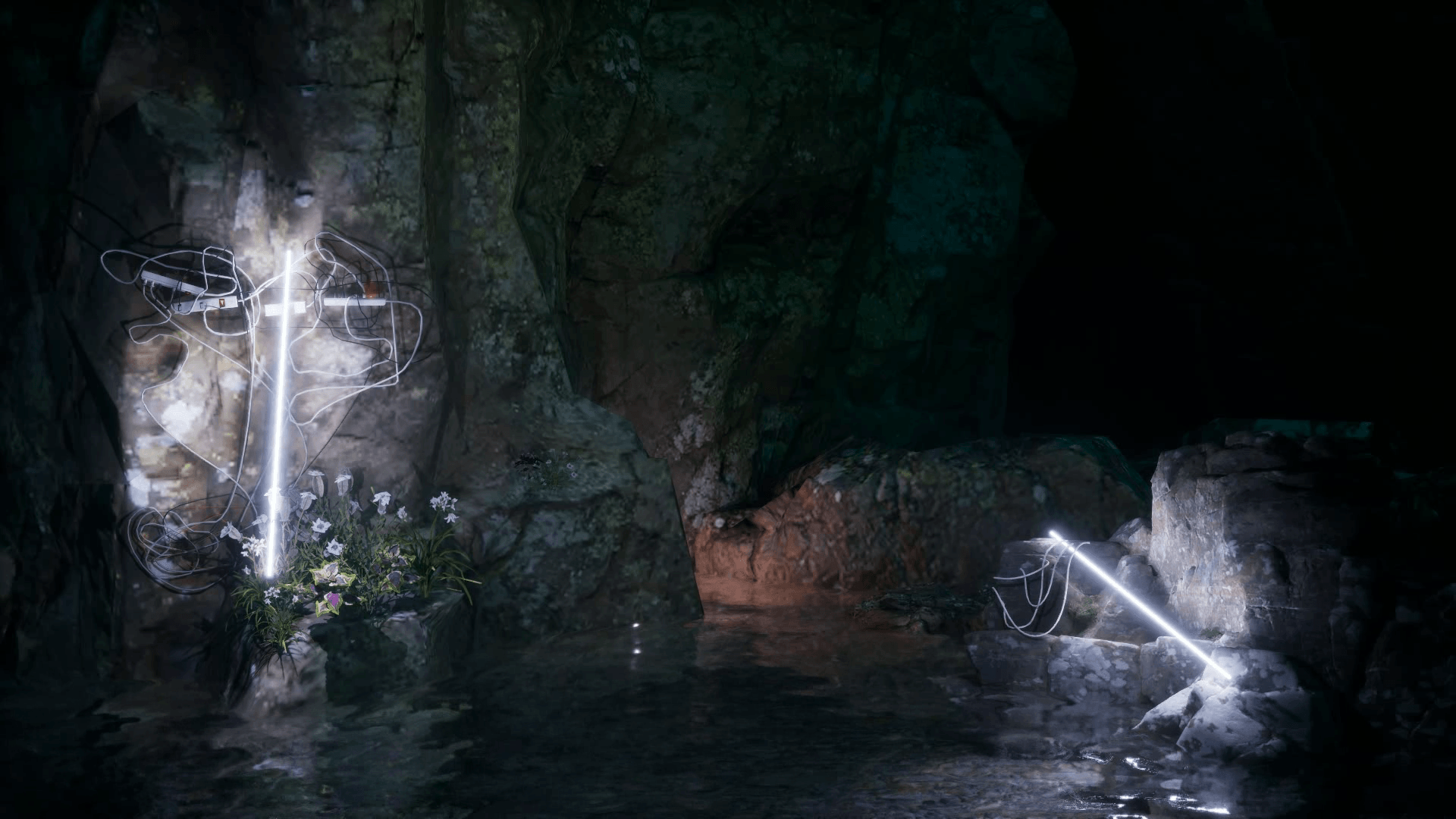 Femmeland - Live Visuals - Image 4