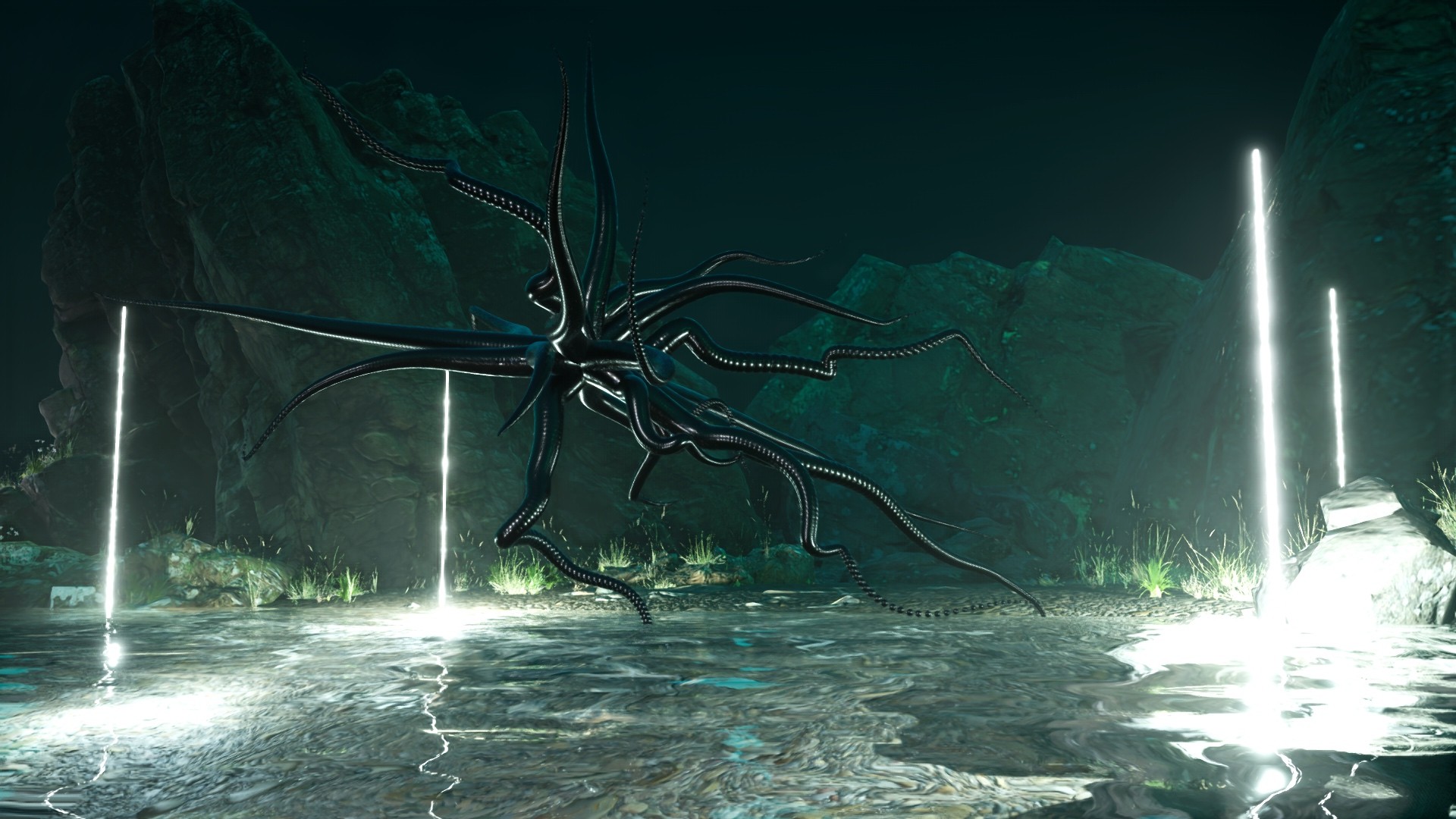 Femmeland - Live Visuals - Image 3