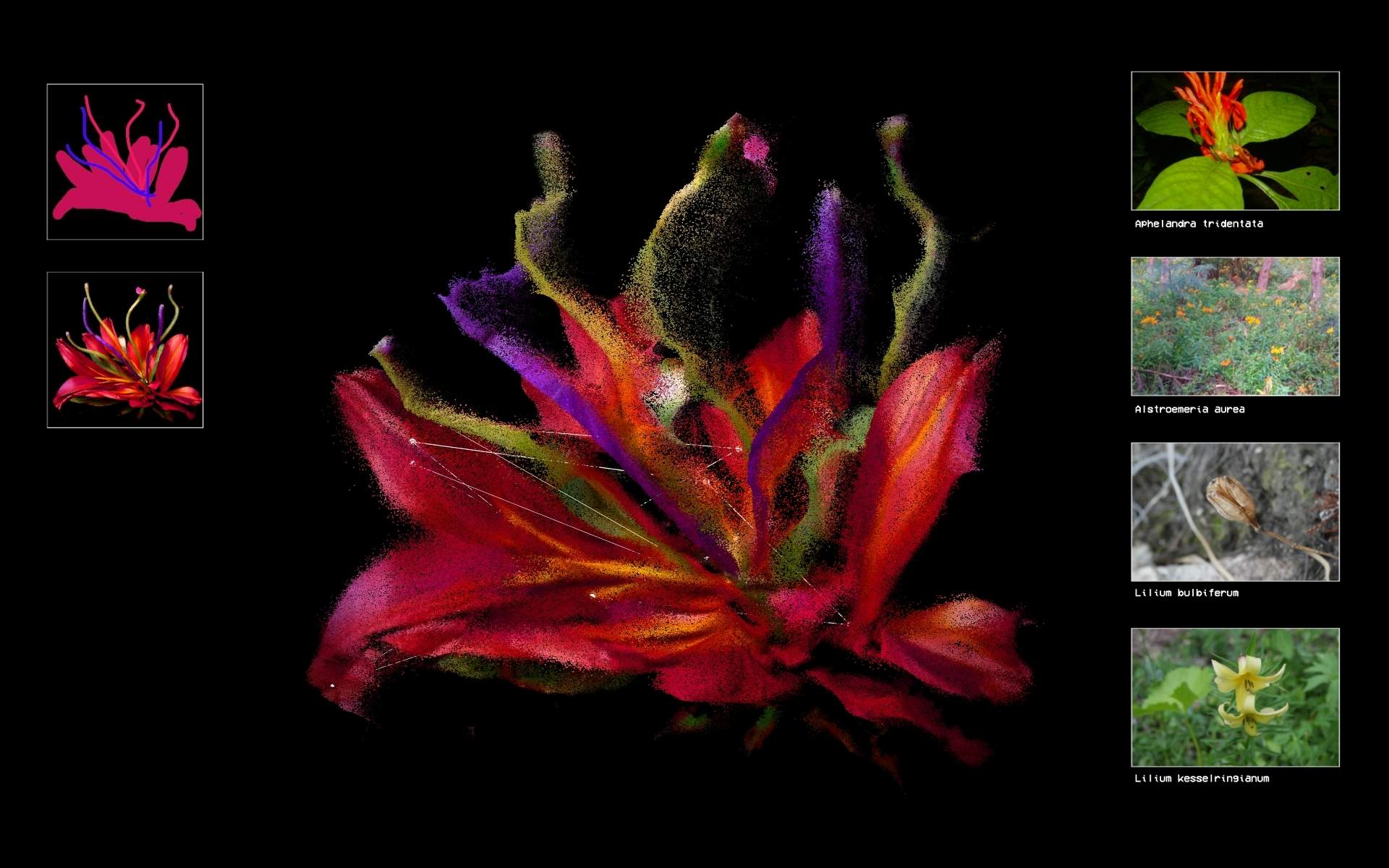 Flora Synthetica - Image 4