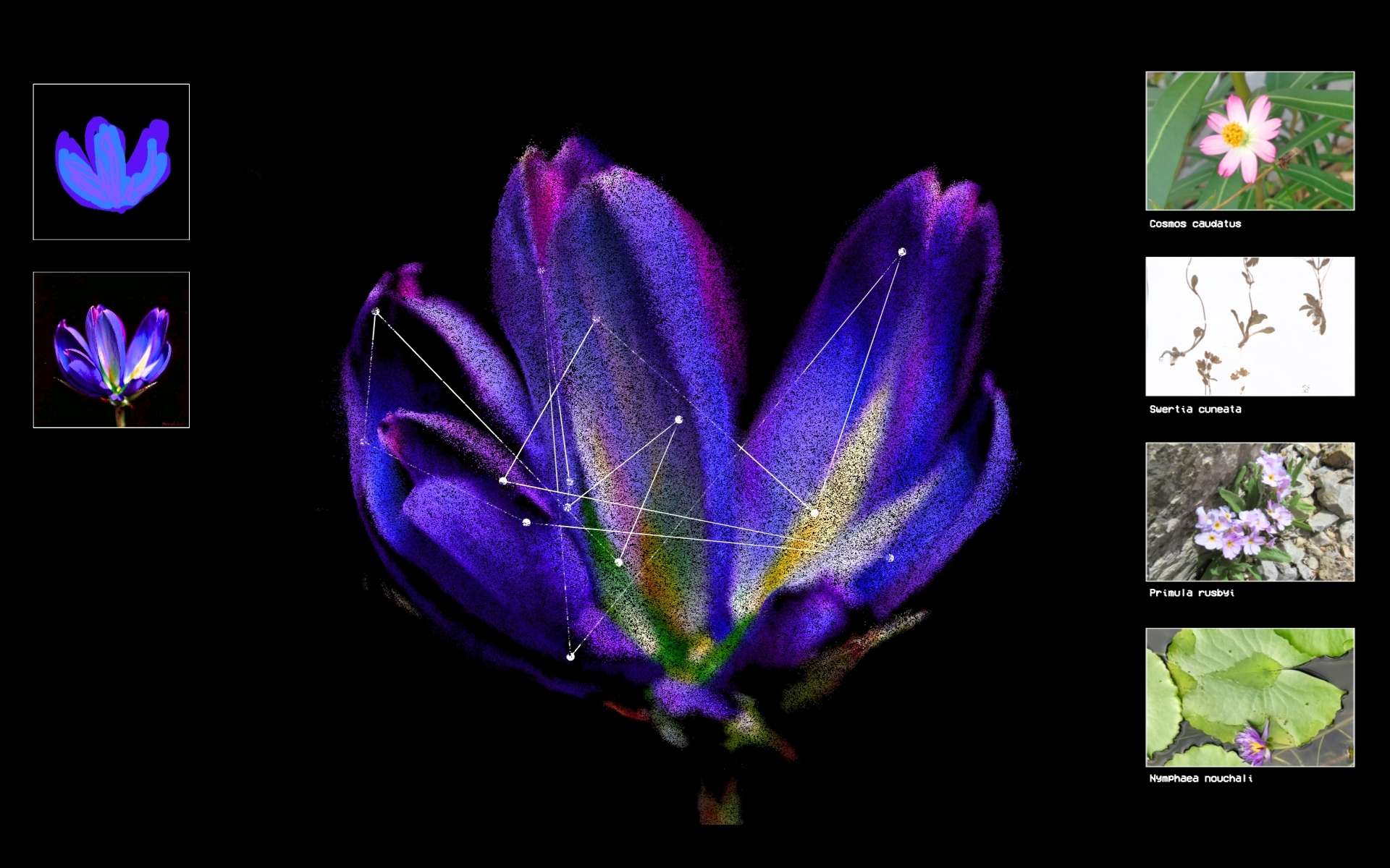 Flora Synthetica - Image 6