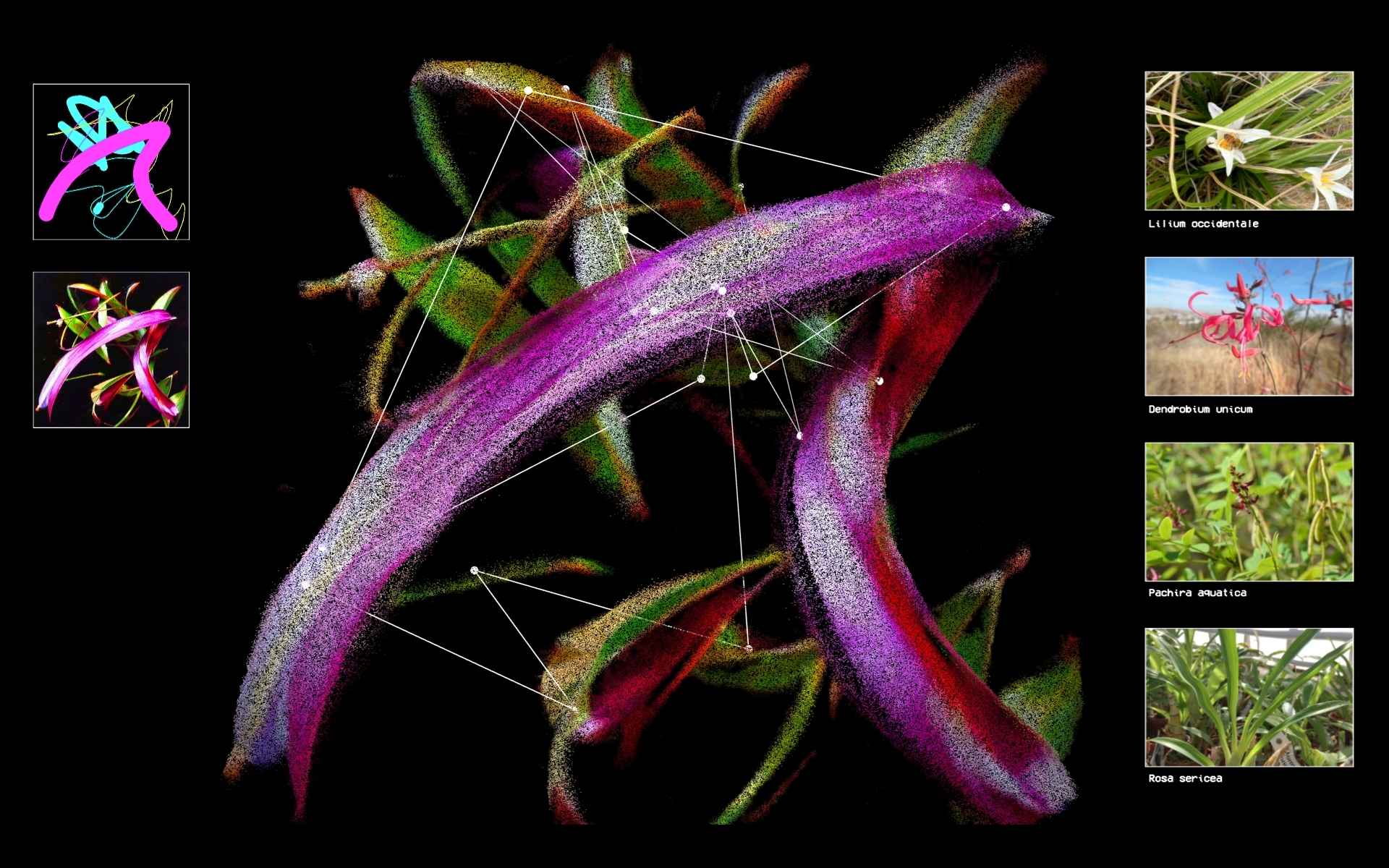 Flora Synthetica - Image 5