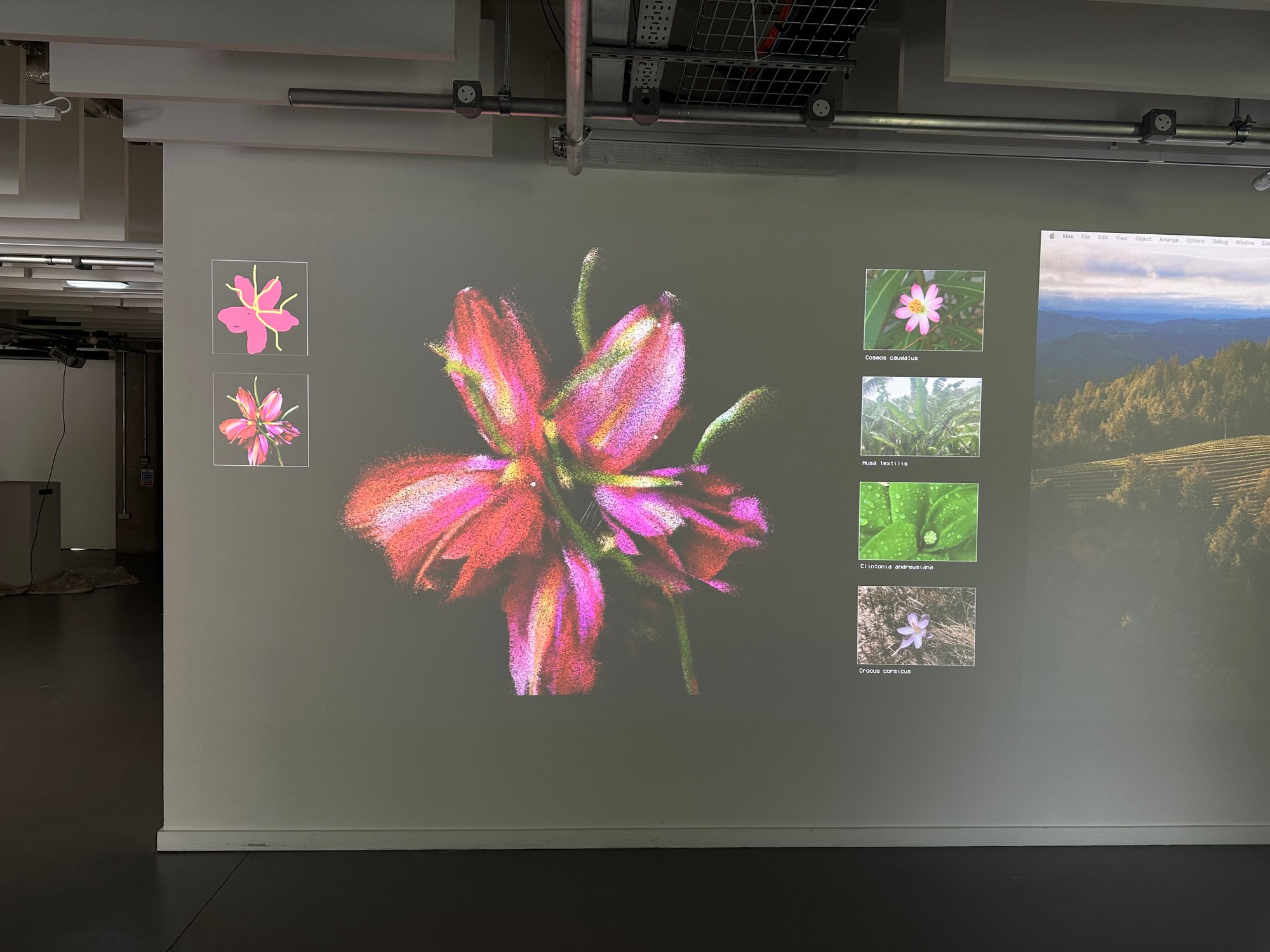 Flora Synthetica - Image 2