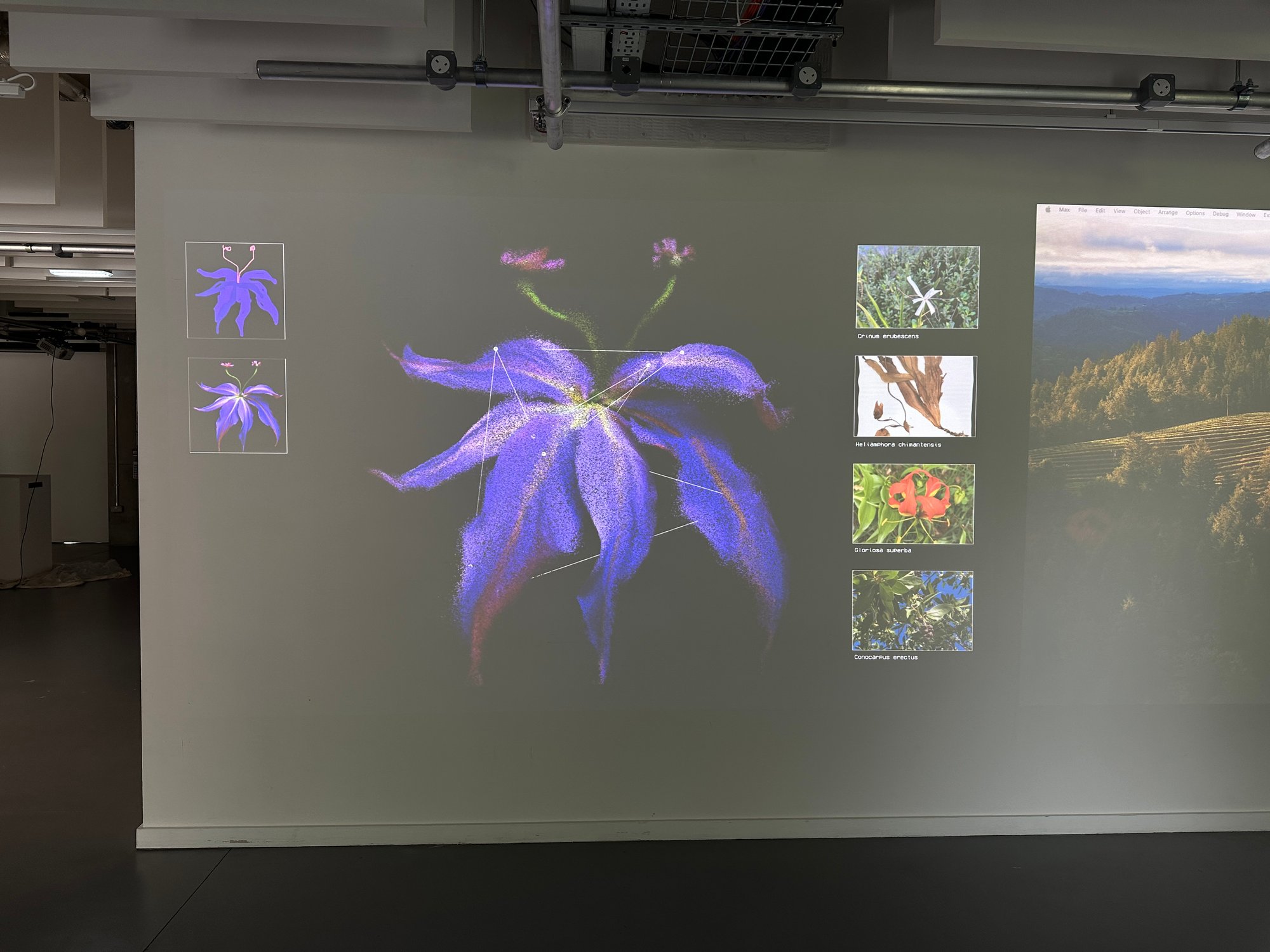 Flora Synthetica - Image 5