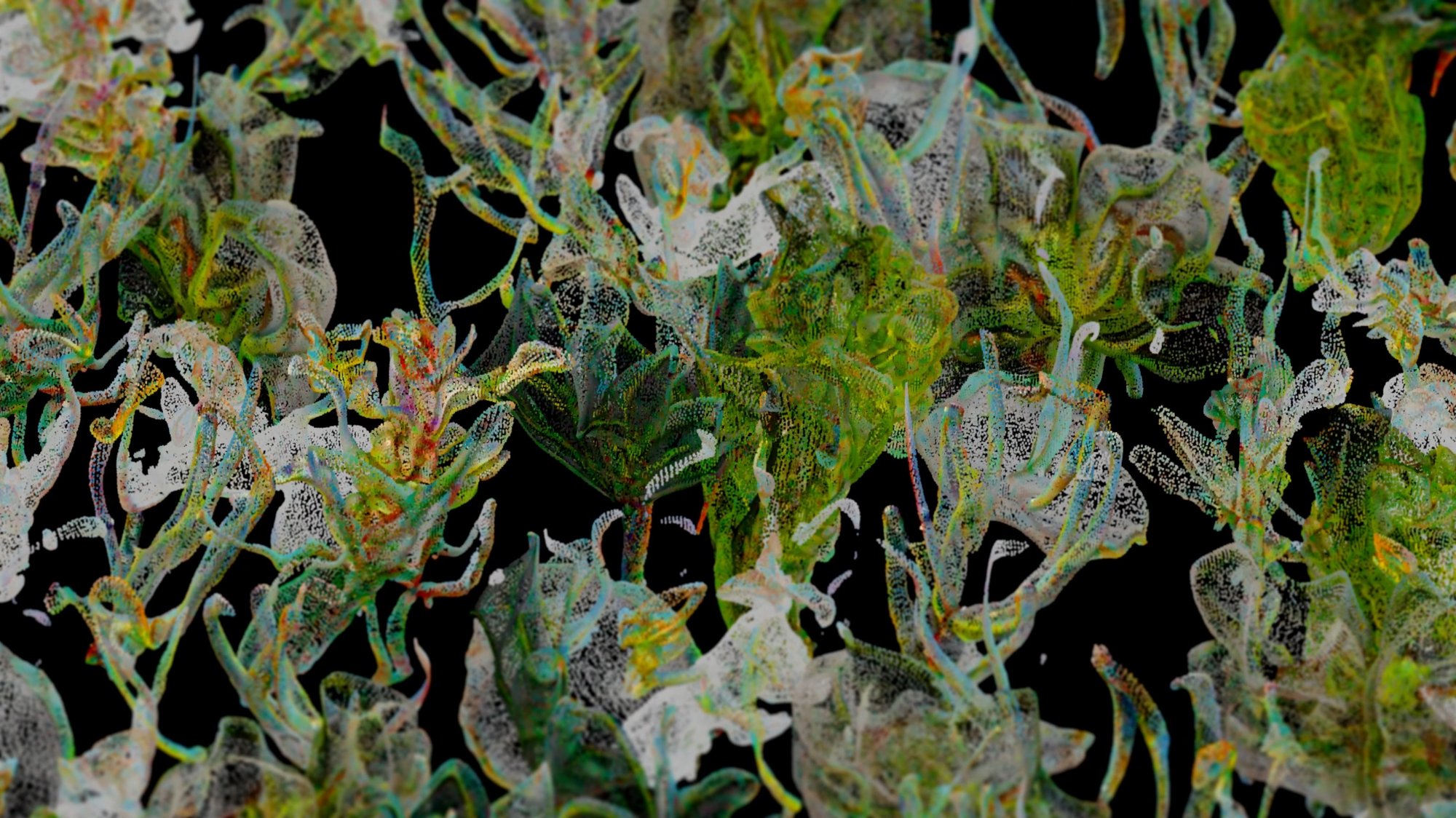 Exploring the Pluriverse - Moss II - Image 3