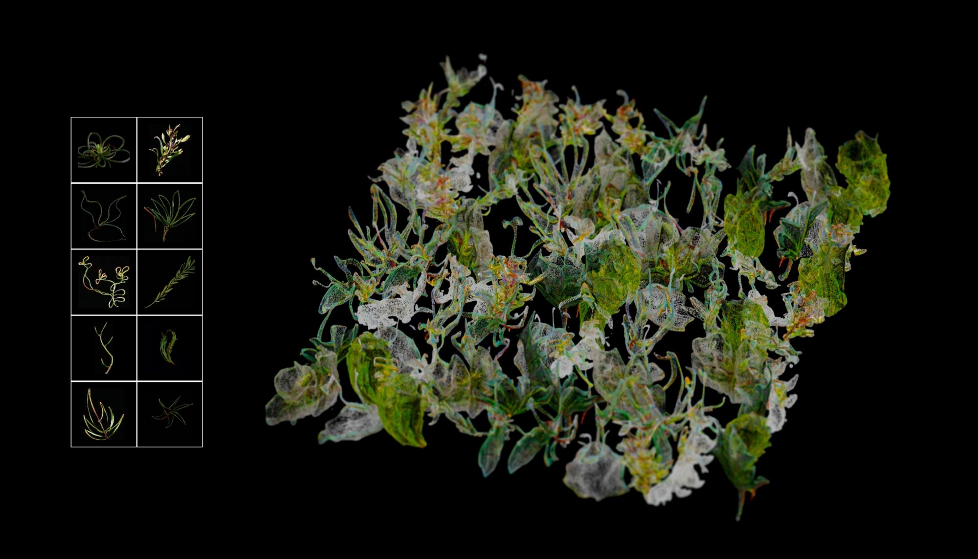 Exploring the Pluriverse - Moss II - Image 2