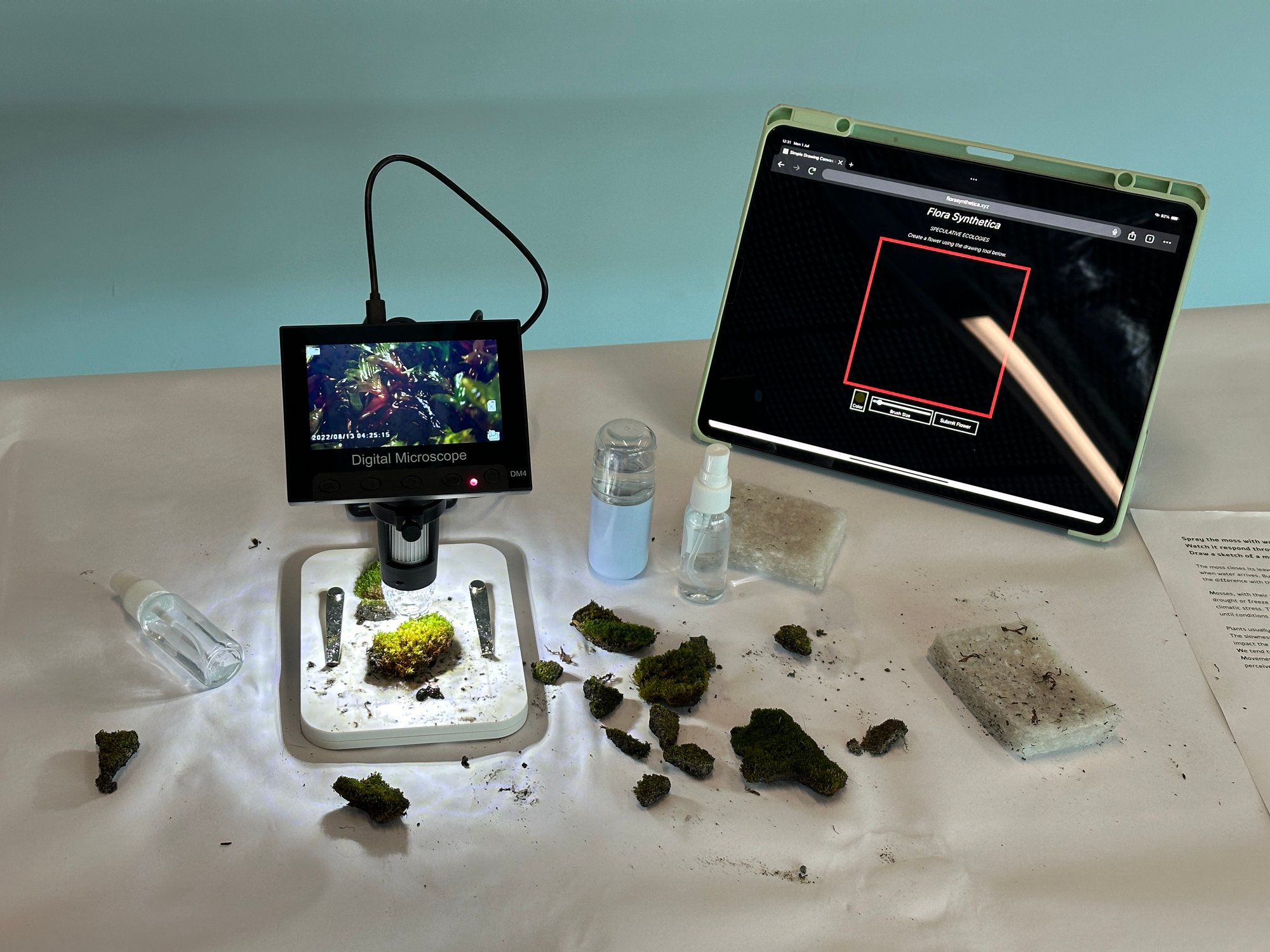 Exploring the Pluriverse - Moss II - Image 4