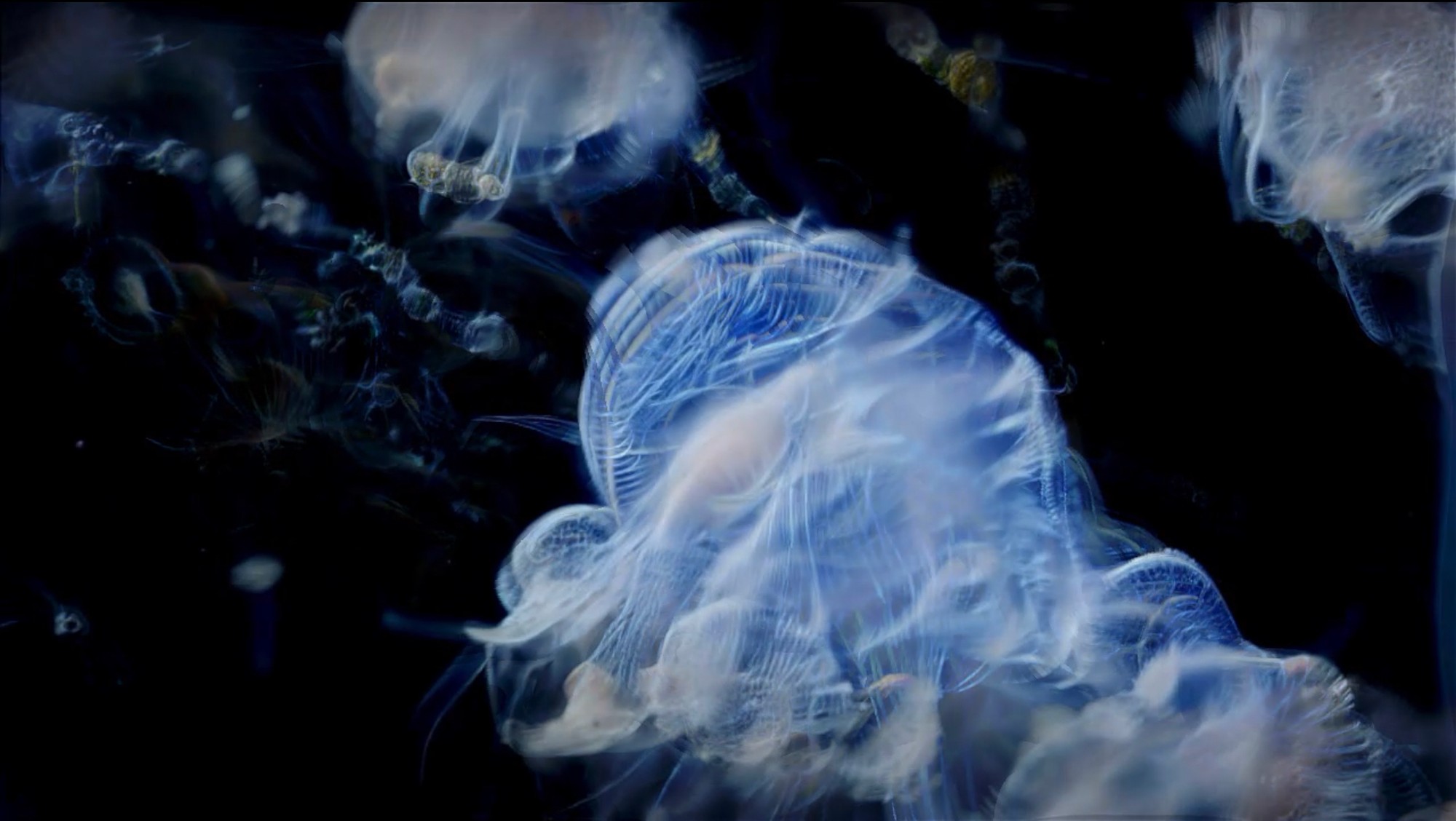 A Sea Change