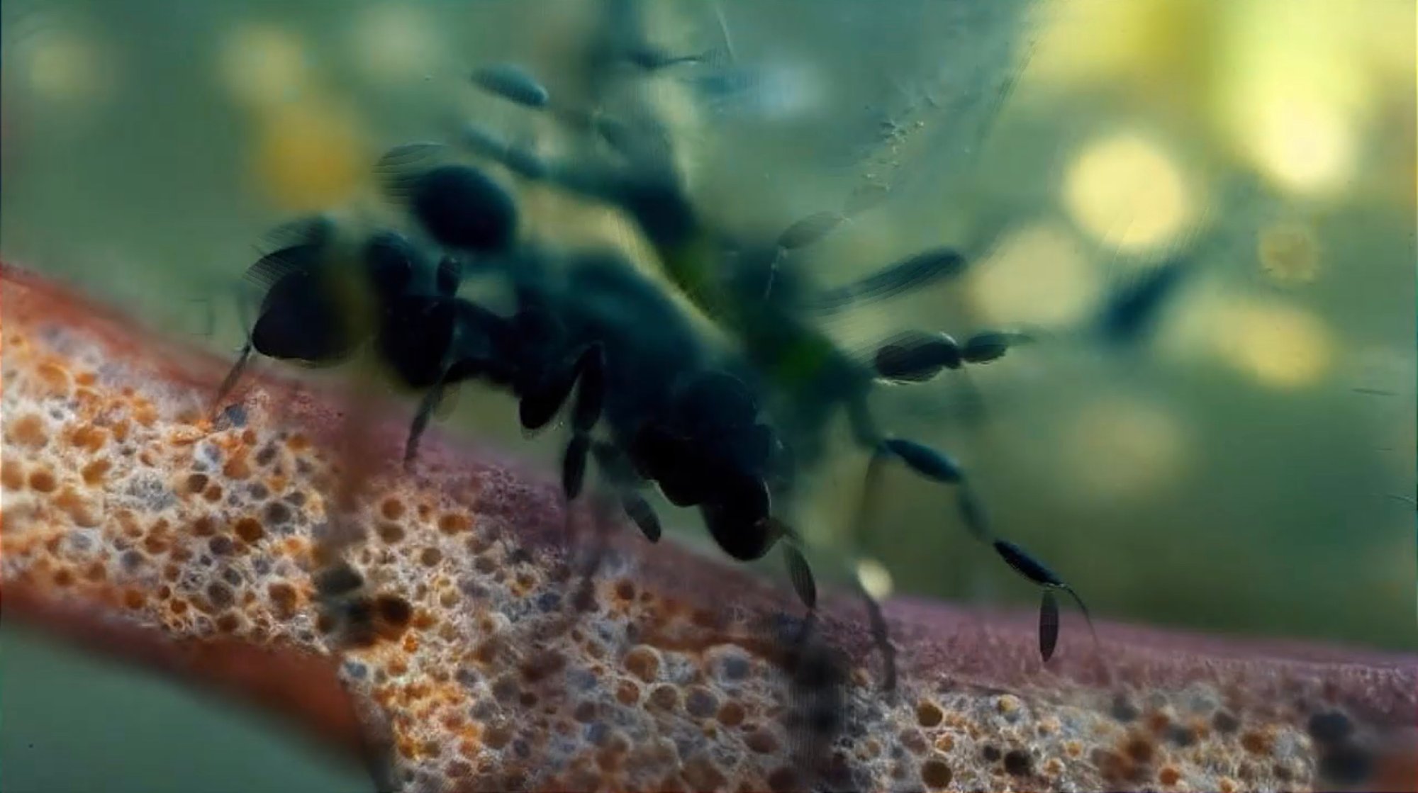 A Sea Change - Image 4