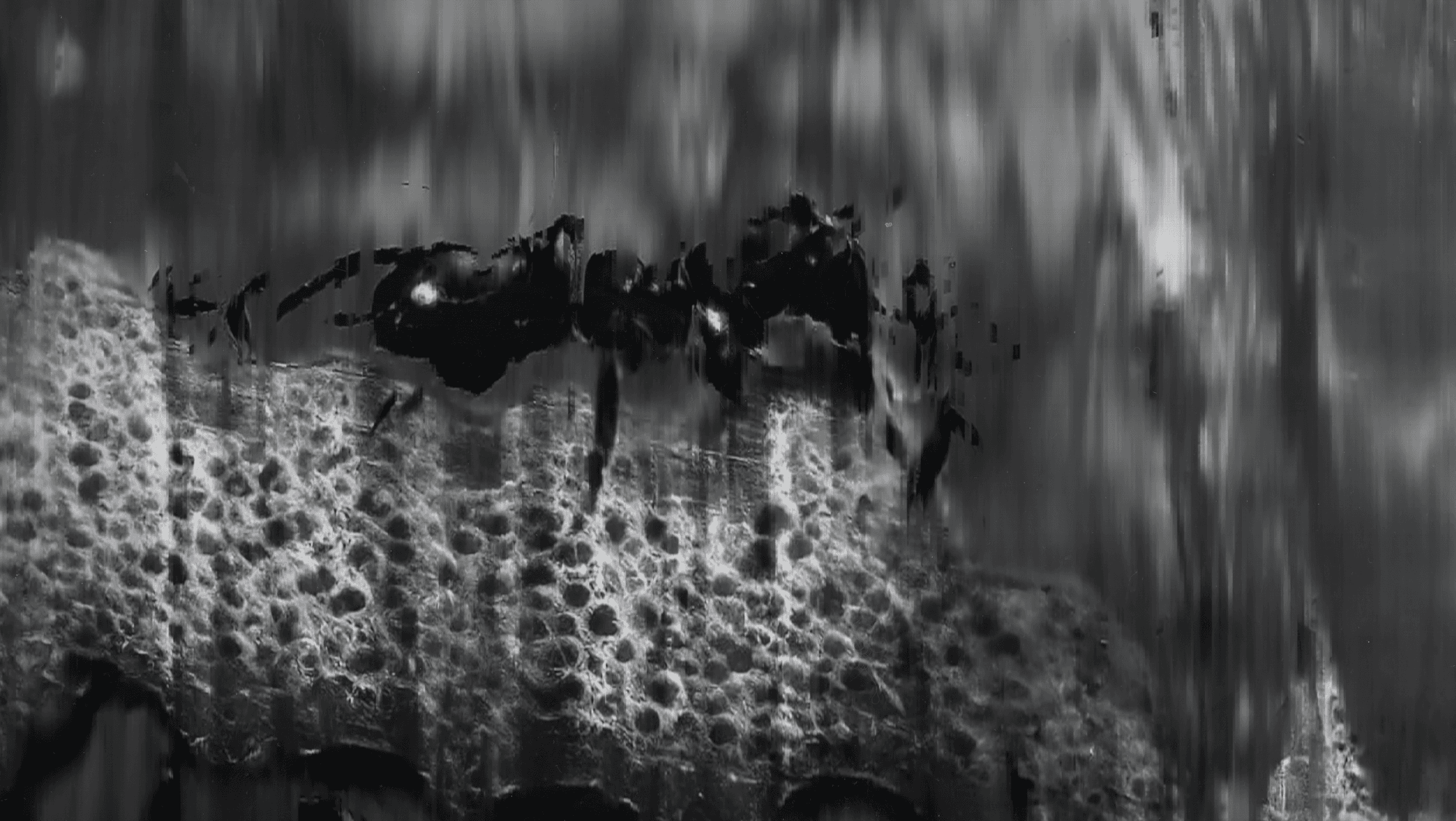 Temporal Shifts - Image 4