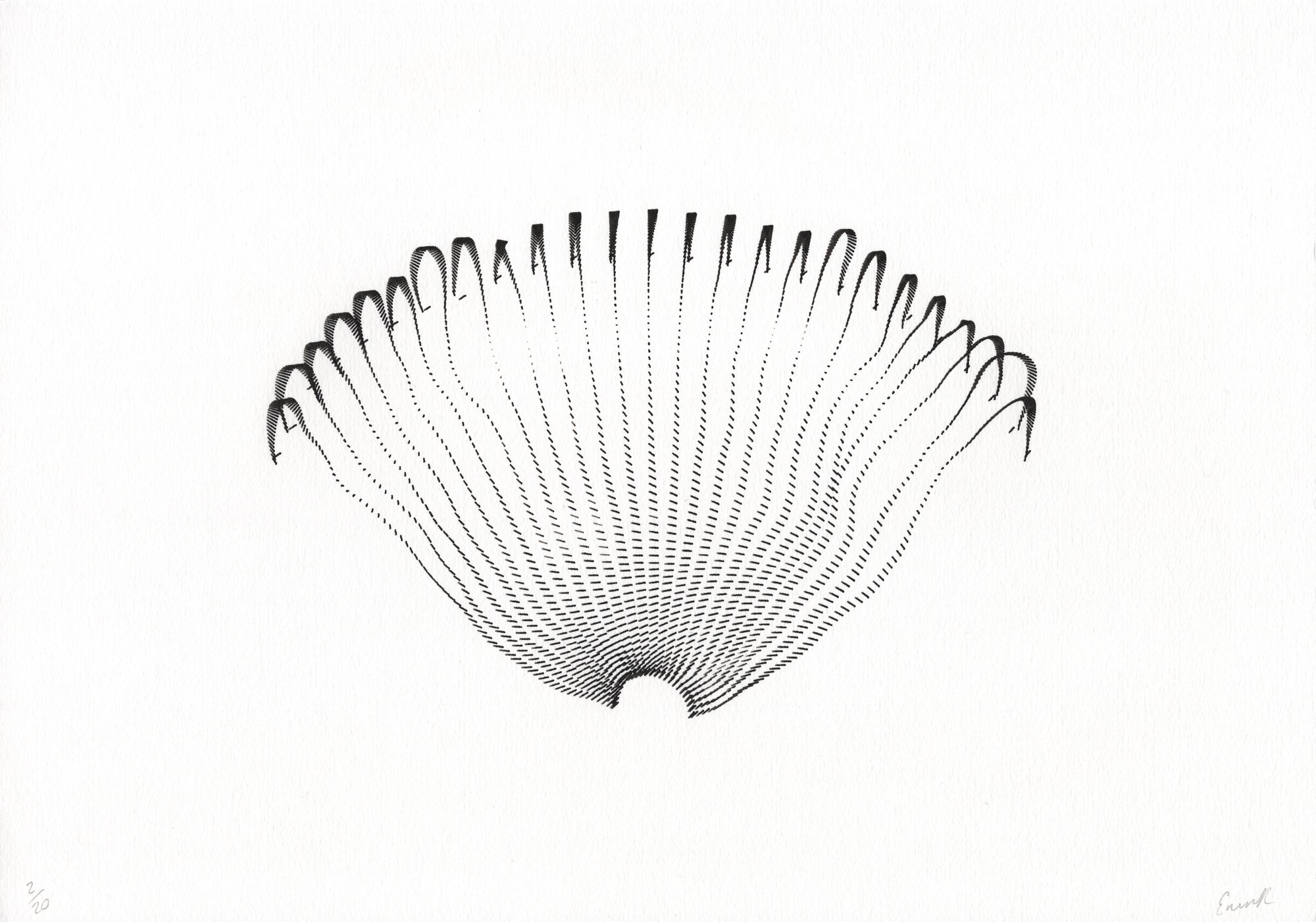 Tendrils - Image 6